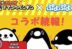 Anime Teikou Penguin bahasa Indonesia