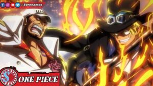 Akainu dan Sabo One Piece