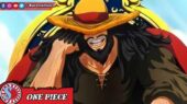 Joy Boy One Piece