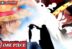 Shanks Luffy Roger One Piece