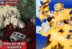 Bakugo dan All For One Boku no Hero Academia