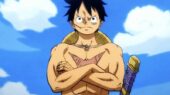 Luffy's Scar Header