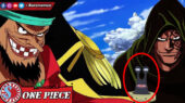 Baltigo Diserang - One Piece
