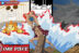 Poster Bounty - One Piece