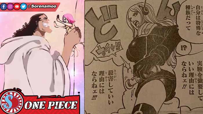 Kuma dan Bonney One Piece