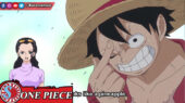 Monkey D Luffy One Piece