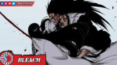 Soul Reaper - Bleach