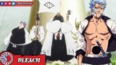 Divisi 0 dan Grimmjow Bleach
