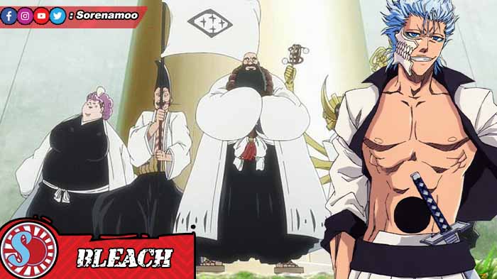 Divisi 0 dan Grimmjow Bleach
