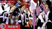 Gotei 13 Bleach