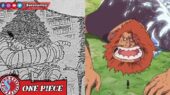 One Piece - Jaguar D. Saul