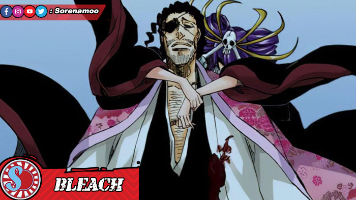 Shunsui Kyoraku - Bleach