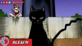 Yoruichi dan Kukaku - Bleach
