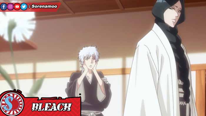 Divisi 4 Gotei 13 Bleach