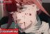 Makima Chainsaw Man