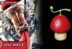 One Piece 1070 Vegapunk Jelaska Soal Buah Iblis