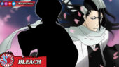 Divisi 15 - Bleach