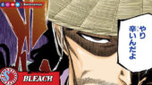 Komandan Tertinggi Shinsui - Bleach