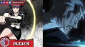 Nemu dan Sasakibe Bleach bahasa Indonesia