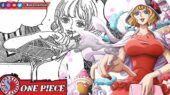 Stussy One Piece 1072 Bahasa Indonesia