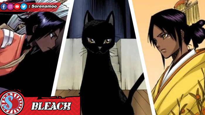 Yoruichi Shihouin - Bleach