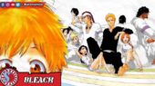 Bleach bahasa Indonesia