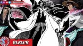 Shunsui Kyoraku anime Bleach 2022 bahasa Indonesia