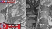 Link baca dan spoiler My Hero Academia 386 bahasa Indonesia Iida Shoto All For One All Might