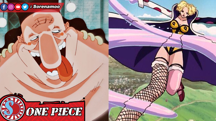 Sake Sake no Mi - One Piece