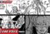 Tsuru Sengoku Cross Guild Sabo One Piece 1082 bahasa Indonesia