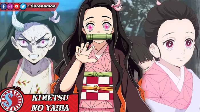 Demon Slayer Kimetsu no Yaiba Kamado Nezuko
