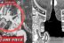Imu telan api Sabo di manga One Piece 1085 bahasa Indonesia