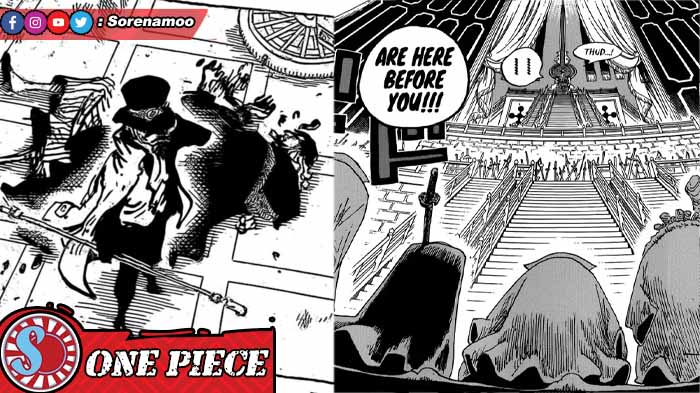 Sabo Nefertari Cobra Gorosei Im-sama One Piece