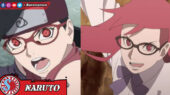 Sarada Uchiha - Naruto