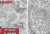 Shoto dan Endeavour manga My Hero Academia 389