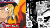 Rook Check - One Piece