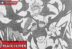 Asta Black Clover 366 Manga