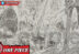 Garp Blackbeard One Piece 1088 Manga