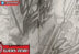 Rebecca Edens Zero 249 Manga