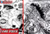 Awakening Gomu Gomu no Mi - One Piece