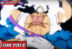 Hito Hito no Mi Model Nika - One Piece
