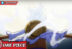 Jurus Gear 5 Luffy - One Piece
