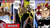 Gerard Valkyrie - Bleach
