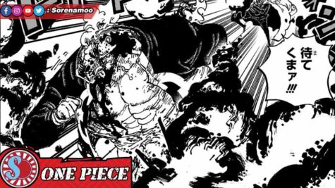 Spoiler Tambahan Manga One Piece 1096 Bahasa Indonesia: Pertemuan Kuma