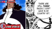 Ras Buccaneer - One Piece