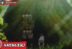 Attack on Titan Final Season