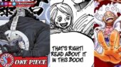 Kuma Bonney Luffy One Piece