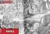 My Hero Academia 409 Manga Raw