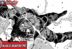 Soujo Manga Kagurabachi Chapter 16