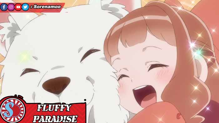 Fluffy Paradise
